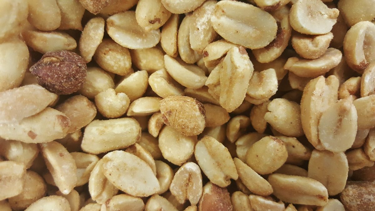 peanut causes food allergy