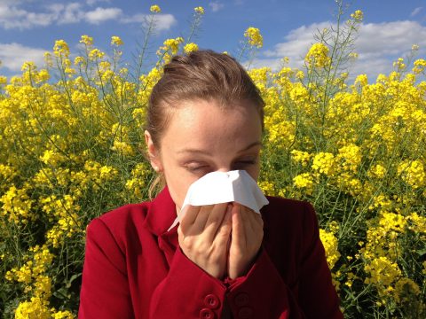 Allergic Rhinitis