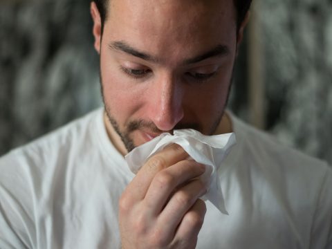 allergies or common colds the differrences