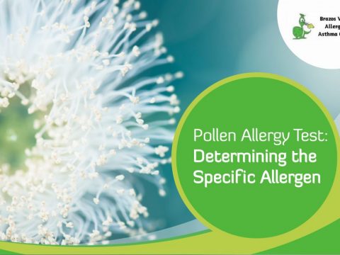 pollen allergy test