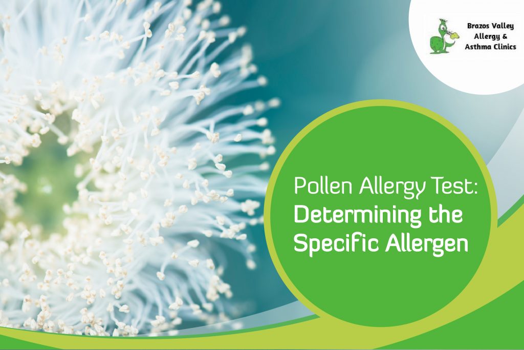 pollen allergy test
