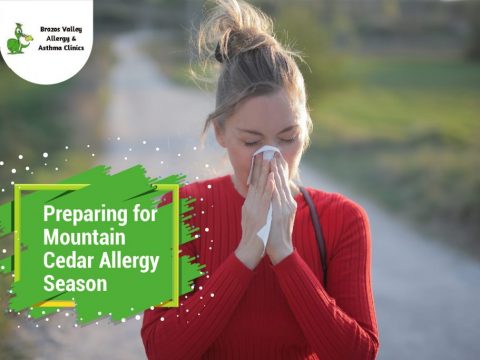 mountain cedar allergy