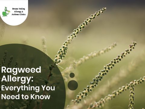 Ragweed Allergy
