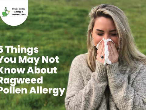 Ragweed Pollen Allergy