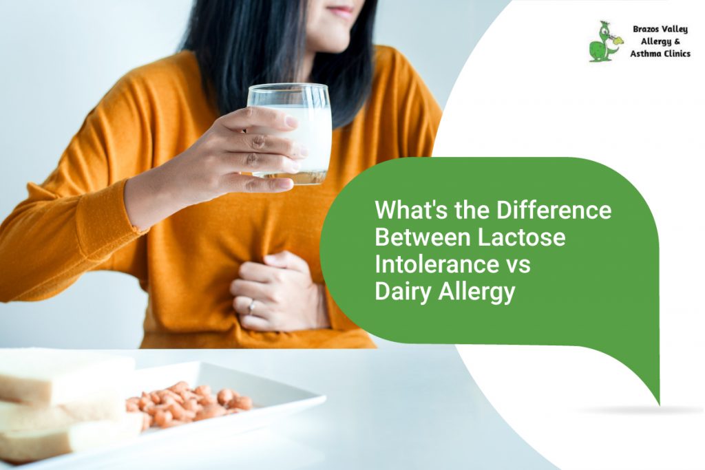 dairy allergy vs lactose intolerance