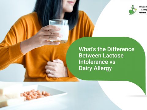 dairy allergy vs lactose intolerance